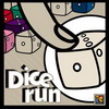 Dice Run