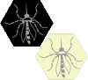 Hive - Mosquito